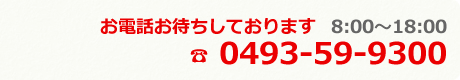 電話番号　0493-59-9300